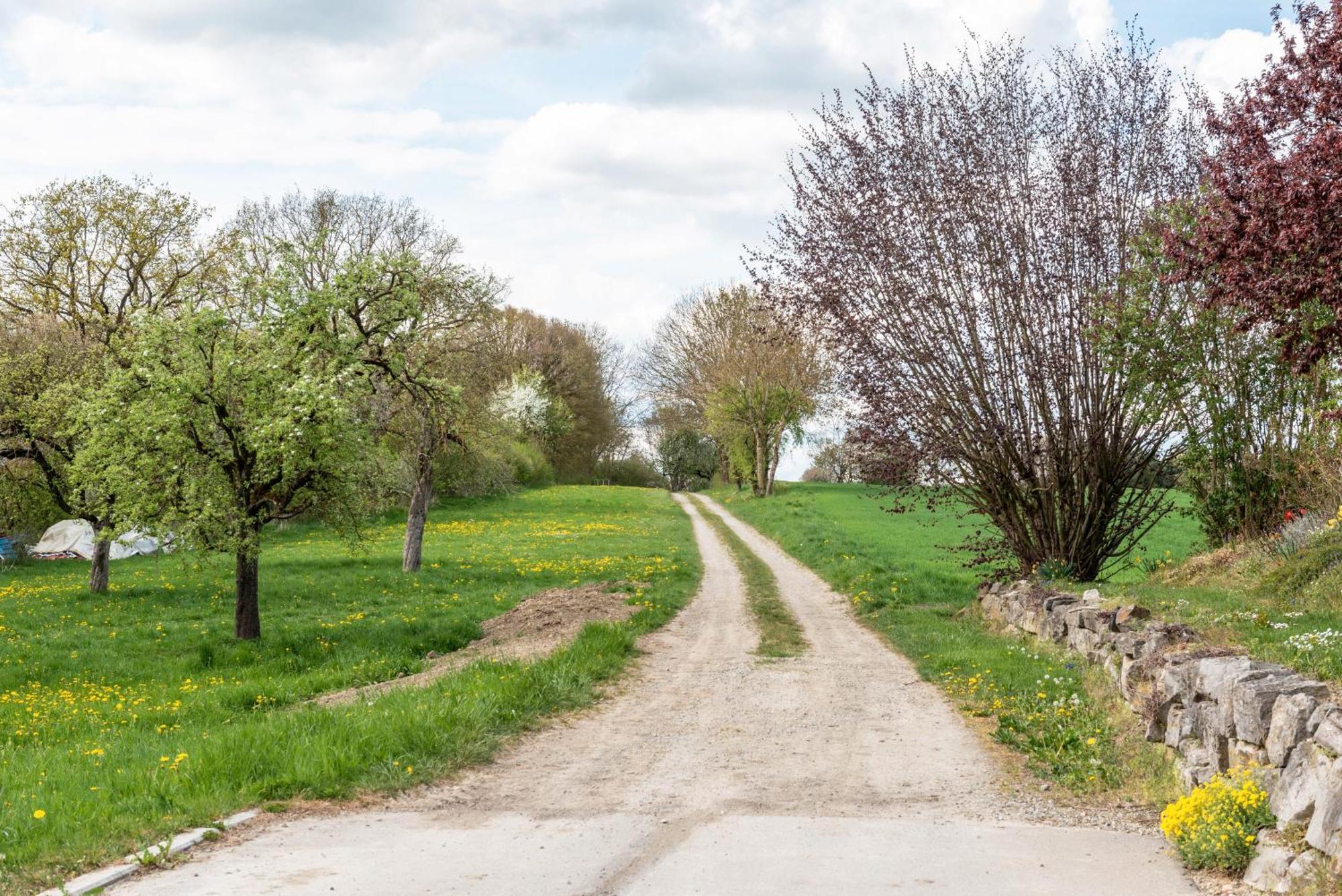 Apartmán Arnold Laubbach Ostrach Exteriér fotografie